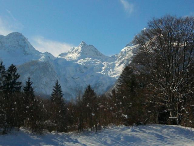 Haus Lena Daire Sankt Martin bei Lofer Oda fotoğraf